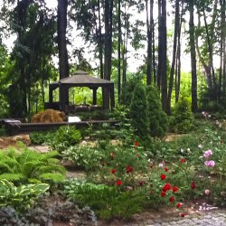 Розарий и цветник в дизайне дачного участка в лесу